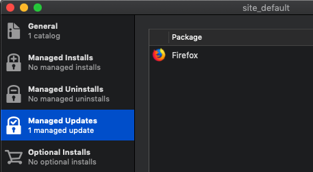An item in the Managed Updates section of a manifest